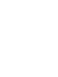 Document icon